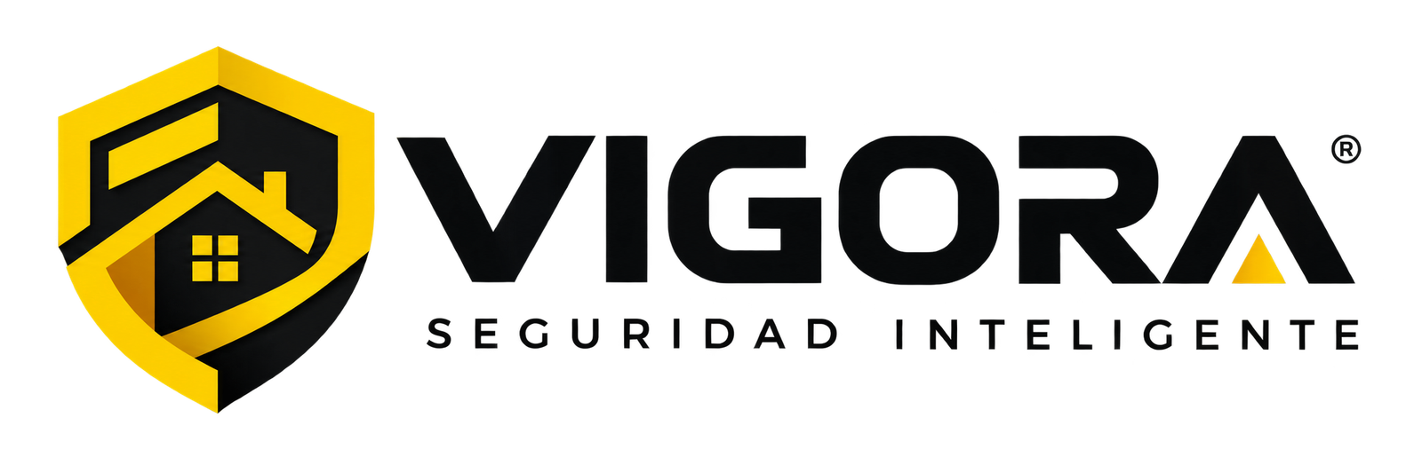 VIGORA Seguridad Inteligente